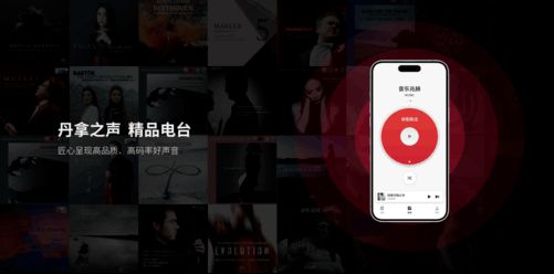 质内容 丹拿之声App正式上线ag旗舰厅注册随时随地聆听高品(图2)